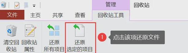 电脑磁盘文件误删的恢复方法（教你如何找回被误删的重要文件）