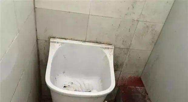 解决卫生间马桶反味的有效方法（如何消除卫生间异味）