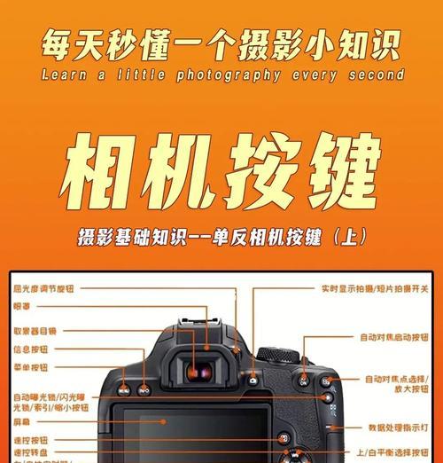 佳能相机黑白取景框调整步骤是什么？